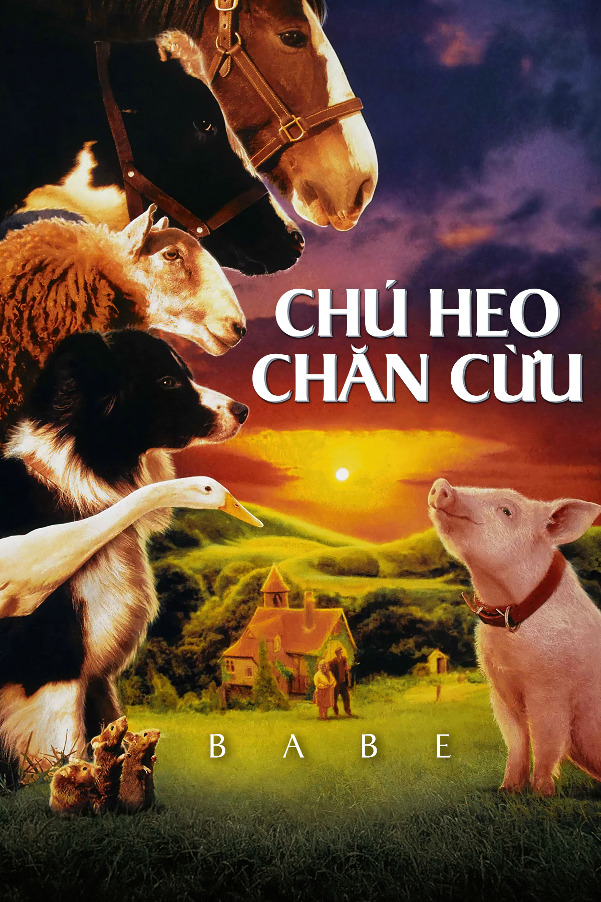 Ch&uacute; Heo Chăn Cừu