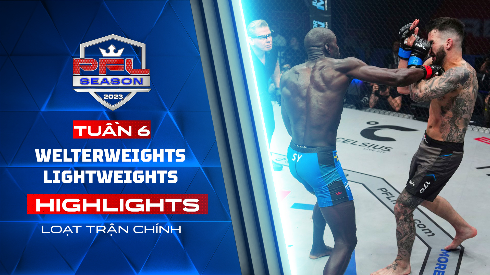 PFL Regular Season 2023: Welterweights & Lightweights Highlights Loạt ...