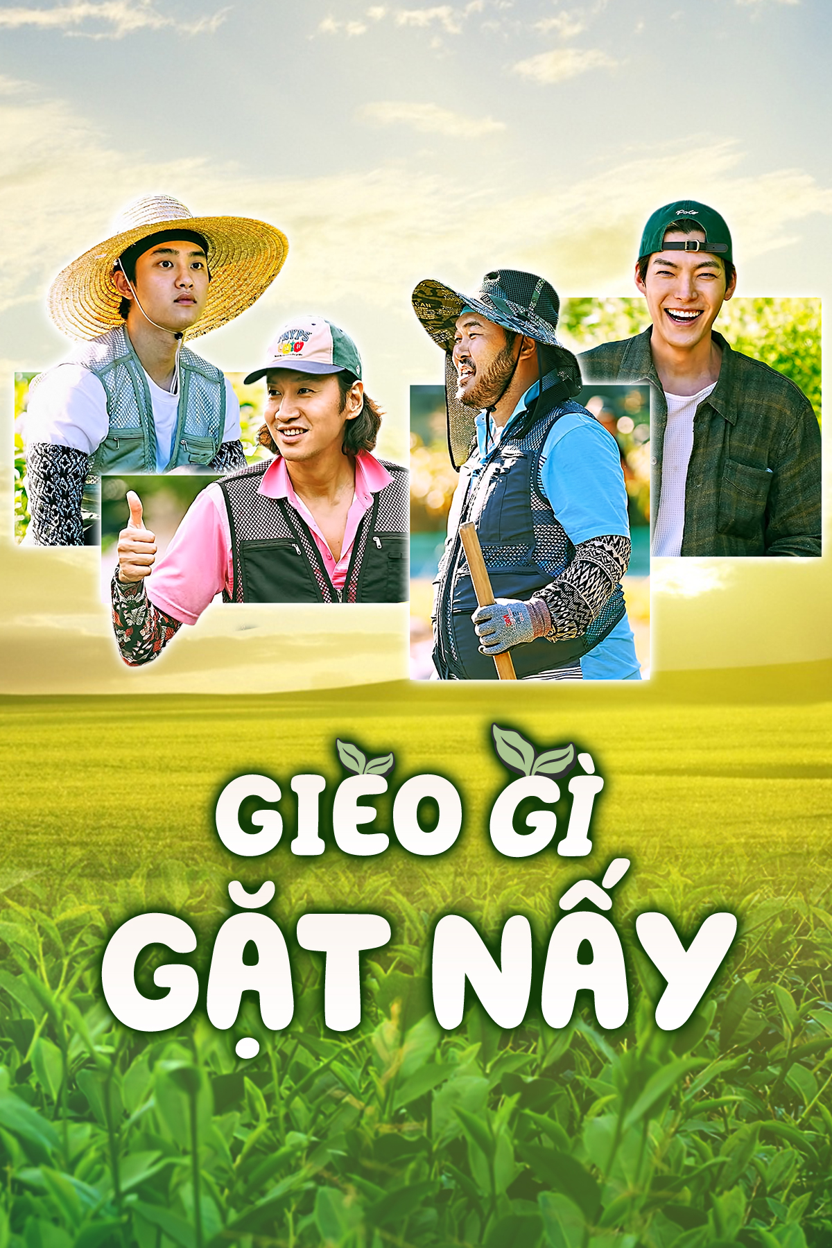 Gieo Gì Gặt Nấy