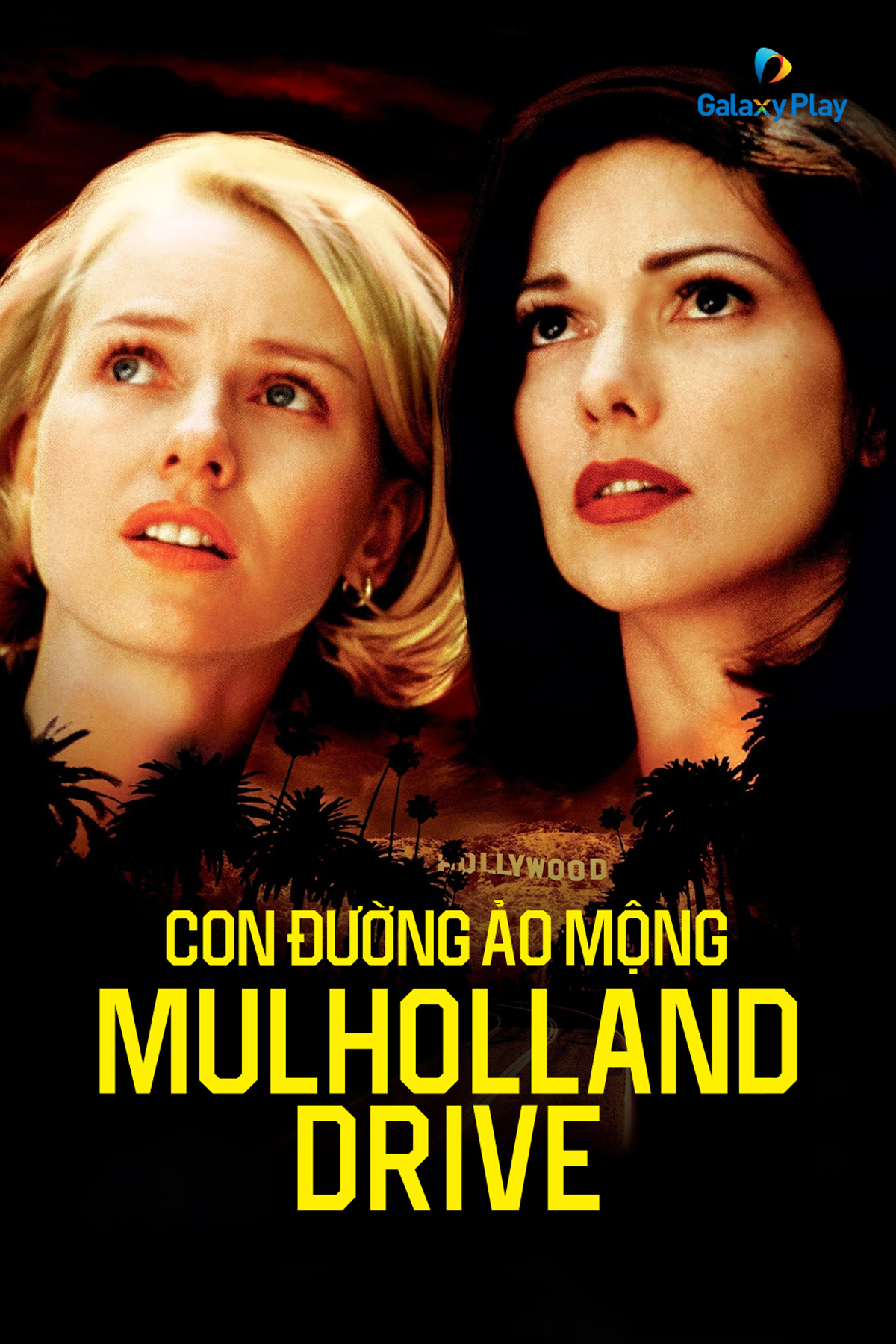 Con Đường Ảo Mộng