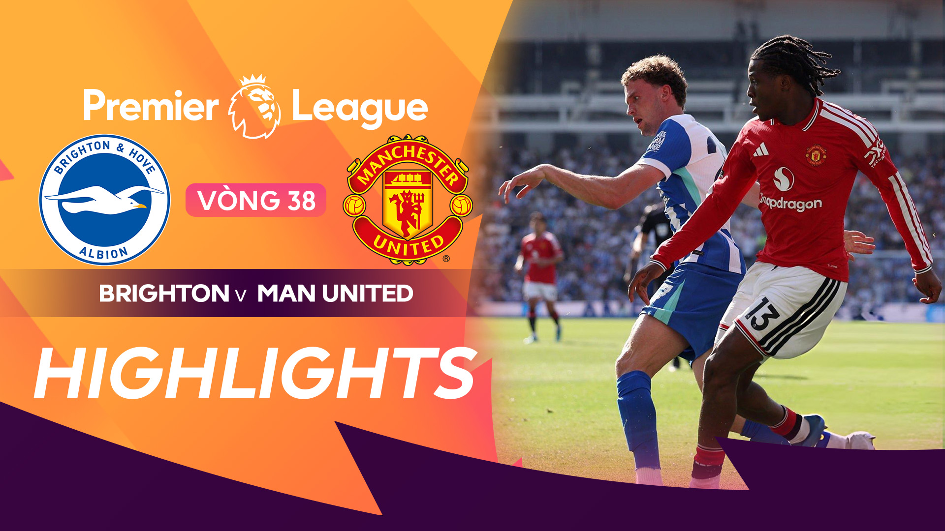 Brighton & Hove Albion - Manchester United Highlights